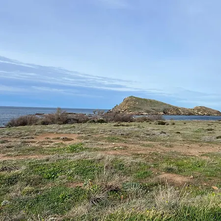 Les Oliviers Centuri-port *