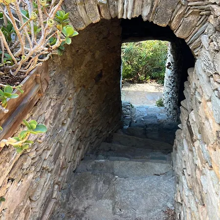 Les Oliviers Centuri-port Centuri