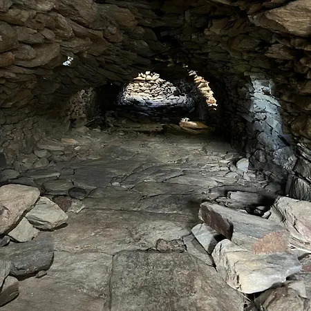 Les Oliviers Centuri-port *