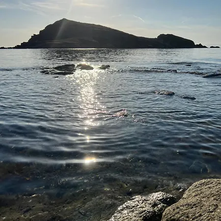 Daire Les Oliviers Centuri-port *