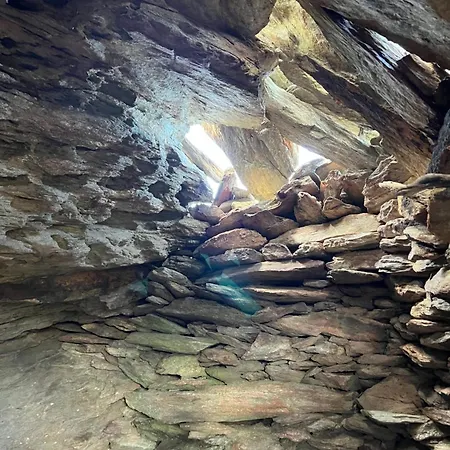 Les Oliviers Centuri-port Daire