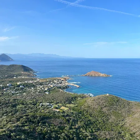 Les Oliviers Centuri-port