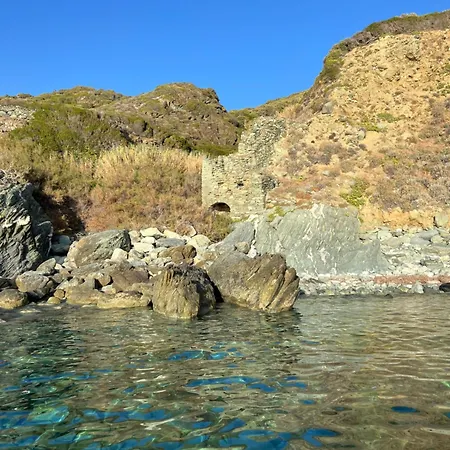 Les Oliviers Centuri-port