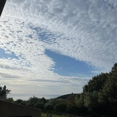 Les Oliviers Centuri-port Centuri