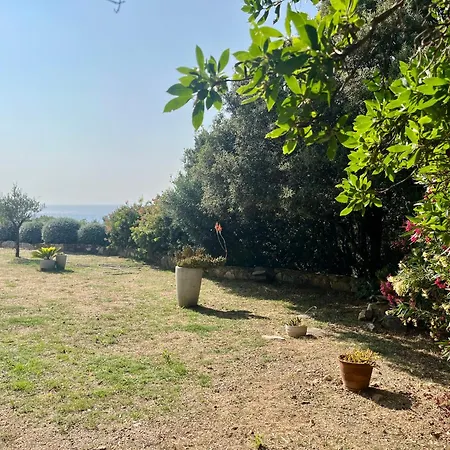 Les Oliviers Centuri-port Apartamento Centuri