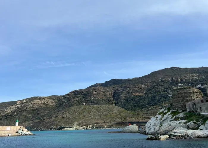 Les Oliviers Centuri-port Centuri