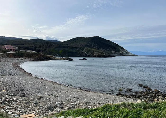 Les Oliviers Centuri-port * Centuri