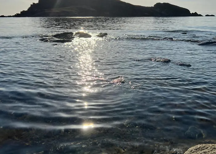 Appartement Les Oliviers Centuri-port *