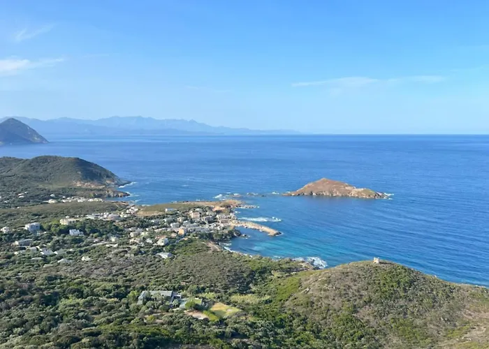 Les Oliviers Centuri-port