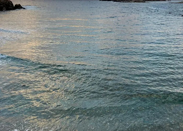 Les Oliviers Centuri-port Appartement *