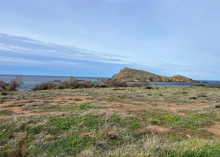 Les Oliviers Centuri-port *