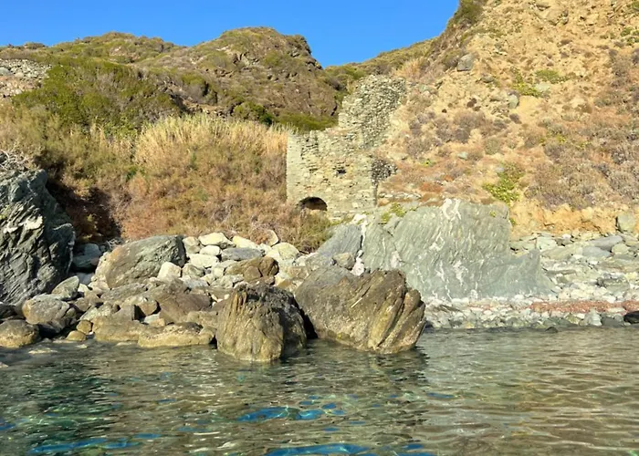 Les Oliviers Centuri-port