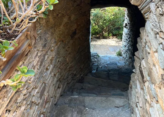 Les Oliviers Centuri-port Centuri