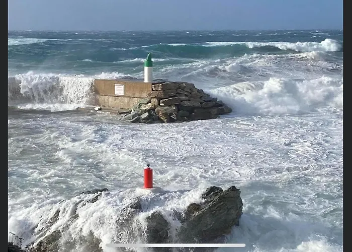 Les Oliviers Centuri-port Appartement Centuri