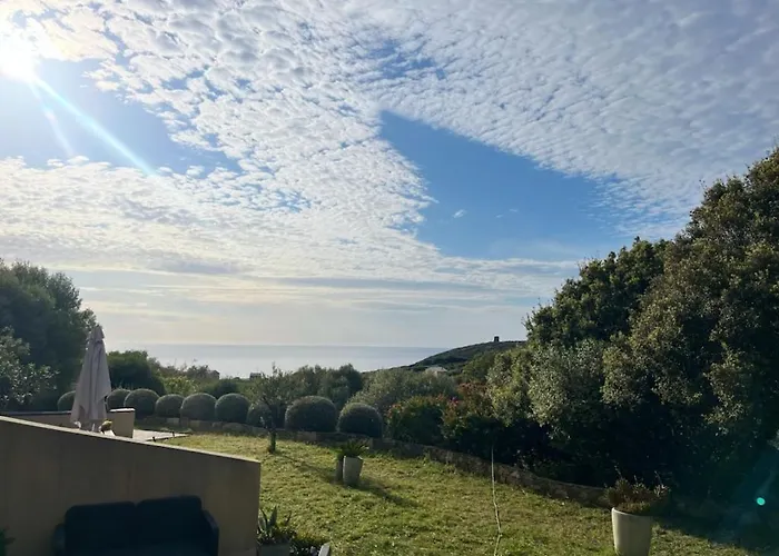 Les Oliviers Centuri-port Appartement Centuri