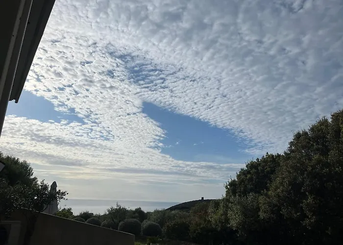 Les Oliviers Centuri-port Centuri