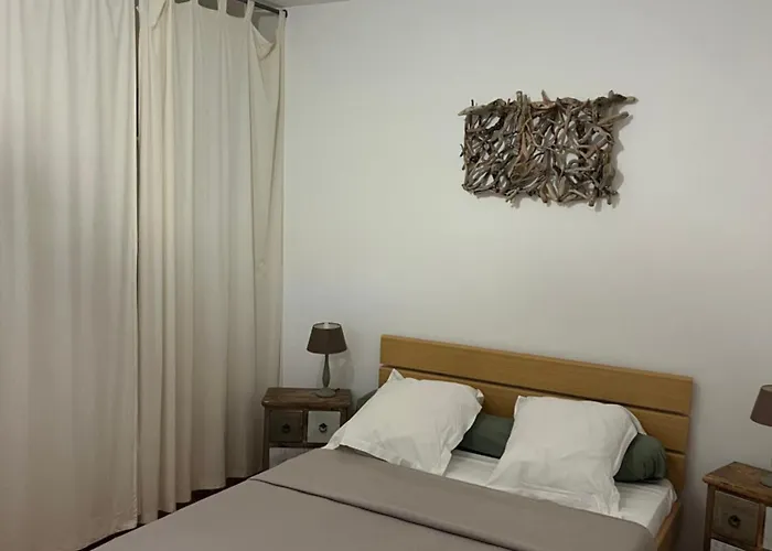 Les Oliviers Centuri-port