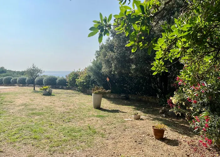 Les Oliviers Centuri-port Appartement Centuri