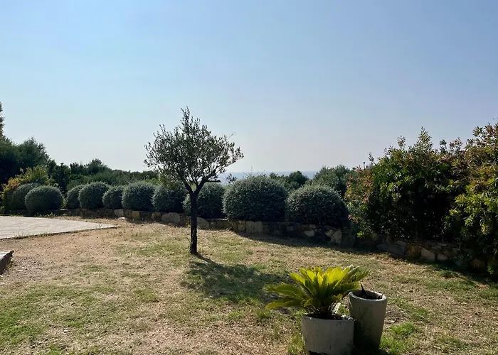 Les Oliviers Centuri-port *